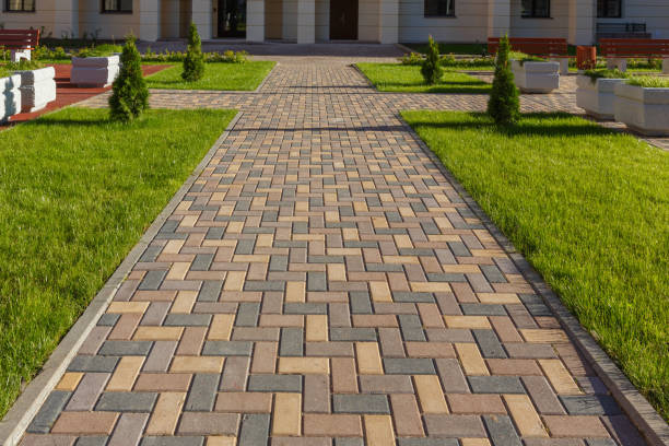 Reasons to Select Us for Your Driveway Paving Requirements in Janesville, CA